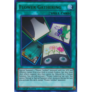 DRL3-EN040 Flower Gathering Ultra Rare