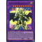 DRL3-EN055 Timaeus the Knight of Destiny Ultra Rare