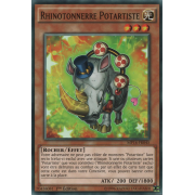 MP16-FR045 Rhinotonnerre Potartiste Commune