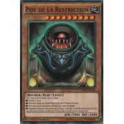 MP16-FR134 Pot de la Restriction Commune