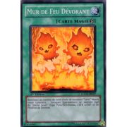 HA05-FR027 Mur de Feu Dévorant Super Rare