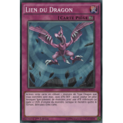 MP16-FR223 Lien du Dragon Commune