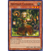 MP16-EN070 Aromage Cananga Commune