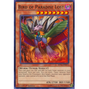 MP16-EN072 Bird of Paradise Lost Commune