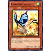 STBL-EN003 Reed Butterfly Commune