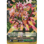 G-BT08/103EN Maiden of Zephyranthes Common (C)