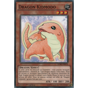LDK2-FRK16 Dragon Kidmodo Commune