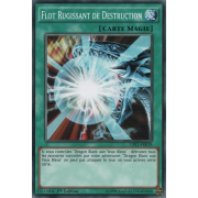 LDK2-FRK19 Flot Rugissant de Destruction Commune