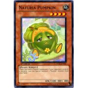 STBL-EN031 Naturia Pumpkin Commune