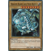 SDKS-FR009 Dragon Blanc aux Yeux Bleus Commune