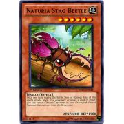 STBL-EN032 Naturia Stag Beetle Commune