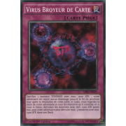 SDKS-FR031 Virus Broyeur de Carte Commune
