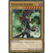 SDMY-FR010 Magicien Sombre Commune