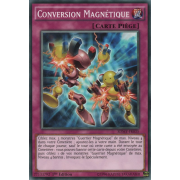 SDMY-FR035 Conversion Magnétique Commune