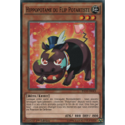 INOV-FR003 Hippopotame du Flip Potartiste Commune