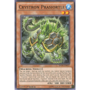 INOV-EN017 Crystron Prasiortle Commune