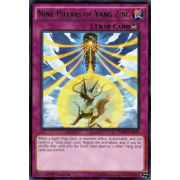 INOV-EN077 Nine Pillars of Yang Zing Rare