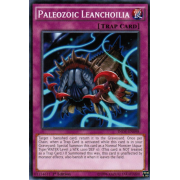 INOV-EN098 Paleozoic Leanchoilia Commune