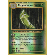 XY12_4/108 Chrysacier Inverse