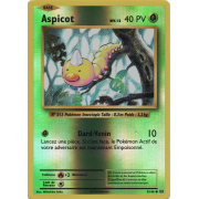 XY12_5/108 Aspicot Inverse