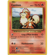 XY12_17/108 Caninos Commune