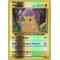 XY12_35/108 Pikachu Inverse