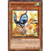 STBL-FR003 Papillon Captivant Commune