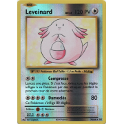 XY12_70/108 Leveinard Inverse