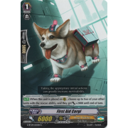 G-BT09/050EN First Aid Corgi Common (C)