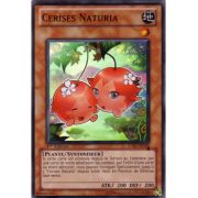 STBL-FR030 Cerises Naturia Super Rare