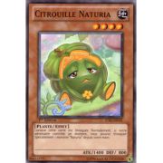 STBL-FR031 Citrouille Naturia Commune