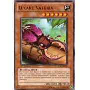 STBL-FR032 Lucane Naturia Commune