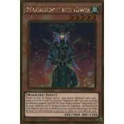 MVP1-FRG16 Magicienne des Kiwis Gold Rare