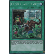 RATE-FR066 L'Herbe a l'Air plus Verte Secret Rare