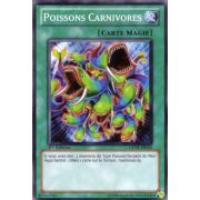 GENF-FR055 Poissons Carnivores Commune