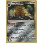 SL01_87/149 Triopikeur d'Alola Inverse