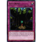 RATE-EN068 Lost Wind Rare