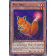 Fox Fire