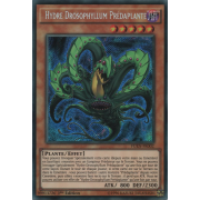 FUEN-FR002 Hydre Drosophyllum Prédaplante Secret Rare