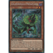 FUEN-FR005 Chlamyrossolis Prédaplante Secret Rare