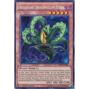 FUEN-EN002 Predaplant Drosophyllum Hydra Secret Rare