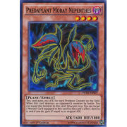 FUEN-EN007 Predaplant Moray Nepenthes Super Rare