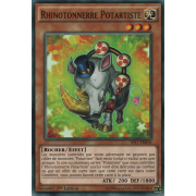SP17-FR016 Rhinotonnerre Potartiste Commune