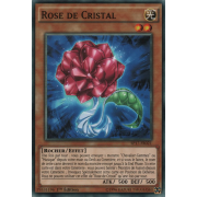 SP17-FR021 Rose de Cristal Commune