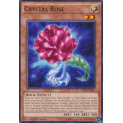 SP17-EN021 Crystal Rose Commune