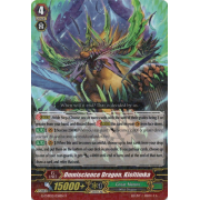 G-CHB02/036EN Omniscience Dragon, Kieltimka Rare (R)