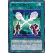 Soul Exchange