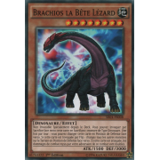 SR04-FR008 Brachios la Bête Lézard Commune