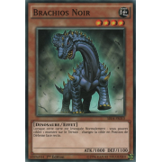 SR04-FR010 Brachios Noir Commune