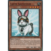 SR04-FR020 Lapin Sauveteur Commune